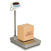 Bench/Floor Scale