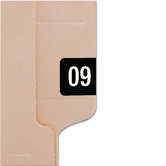 Year 2009 End Tab Folder Labels, 1 x 1/2, Black, 250/Pack