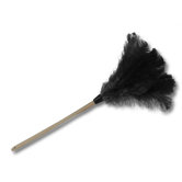 10" Handle Professional Ostrich Feather Duster