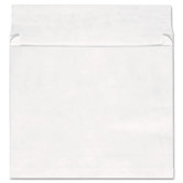 Tyvek Expansion Envelope, 100/Carton