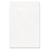 Tyvek Envelope, 100/Box