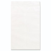 Tyvek Envelope, 100/Box