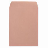 Catalog Envelope, 250/Box