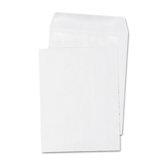 Self-Seal Catalog Envelope, 100/Box