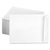 Catalog Envelope, 250/Box