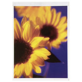 5.77" x 5.88" Floral Tablet