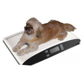 Precision Digital Pet Scale