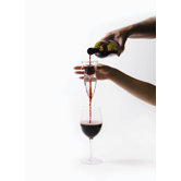 Decantus Deluxe Wine Aerator kit
