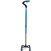 Explorer Quest Quad Cane