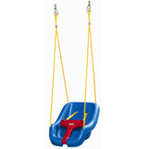2-in-1 Snug 'n Secure Swing in Blue