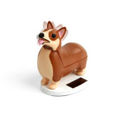 Kikkerland For Pet People