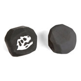 Fossil Erasers (Set of 2)