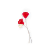 Ruby Earbuds