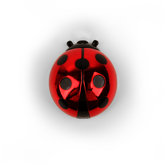 Ladybug Lip Gloss