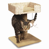 Hyacinth and Jute Perch and Play
