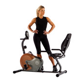 Recumbent Mag Cycle