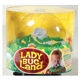 Ladybug Land