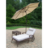 Elite 2-Piece Chaise Lounge Set