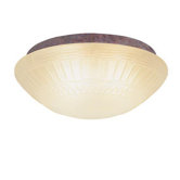 Two Light Ceiling Fan Light Kit