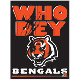 NFL Banner