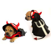 Devil Dog Costume