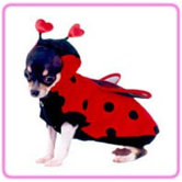 Ladybug Dog Costume
