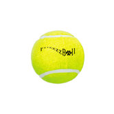 Tough Chew Flying Disk Dog Toy