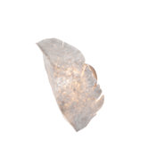 Banana Leaf Wall Sconce with Crushed Natural Capiz