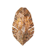 Banana Leaf Two Light Wall Sconce with Chocolate Tiger Shell