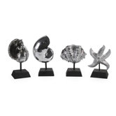 Seashells in Silver (Set of Four)