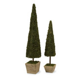 Two Piece Mossy Conical Topiary Set in Green