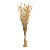 Coco Bead Natural Bundle