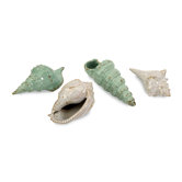 Ceramic Sea Shells Statue (Set of 4)