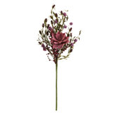 Raisa Wild Flower Bundle