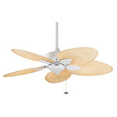 Windpointe Ceiling Fan