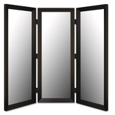 Room Divider Mirror in Angle Iron Black