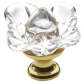 1.19" x 1.19" Crystal Cabinet Knob in Polished Brass