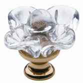 1" x 1" Crystal Cabinet Knob in Polished Brass