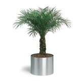 Blomus Outdoor Accessories