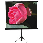 60" x 60" Tripod Screen in Matte White