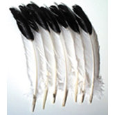 Imitation Eagle Feathers