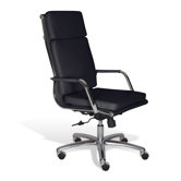The Ergo Office Office Chairs