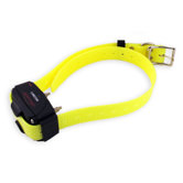 Canicom Additional Training Collar