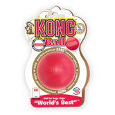 Ball Dog Toy