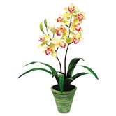 Artificial Yellow Cymbidiums in a Green Terra Cotta Pot, 28" Overall Height