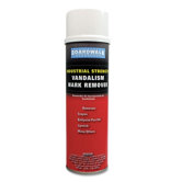 Vandalism Mark Remover
