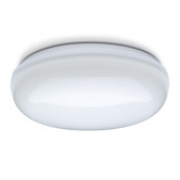 Orino Bulkhead Wall / Ceiling Light