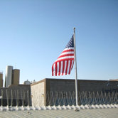 Stainless Steel Bird Spikes
