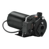 3/4 HP Cast-Iron Convertible Well Jet Pump
