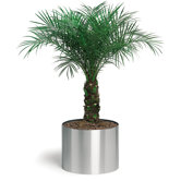 Outdoor Planters